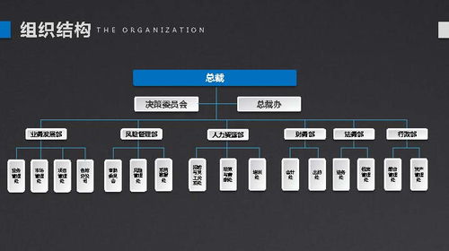 引行金融 小微企业有尊严的金融服务——数字内容制作服务品牌宣传册策划与设计